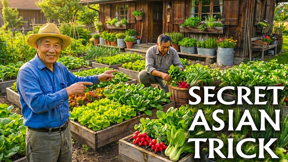 7 Japanese Spring Vegetables That Produce More Food In Small Gardens 7 Japanese Spring Vegetables That Produce More Food In Small Gardens