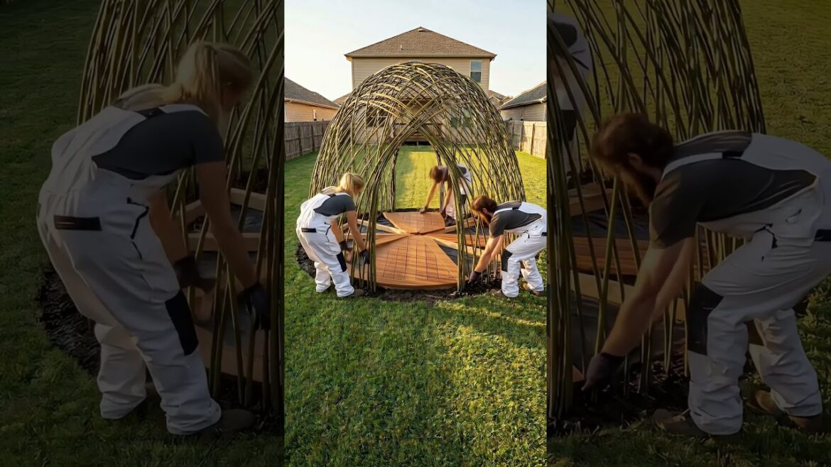 I Built a Living Passionfruit Dome in My Backyard! 🌿💛