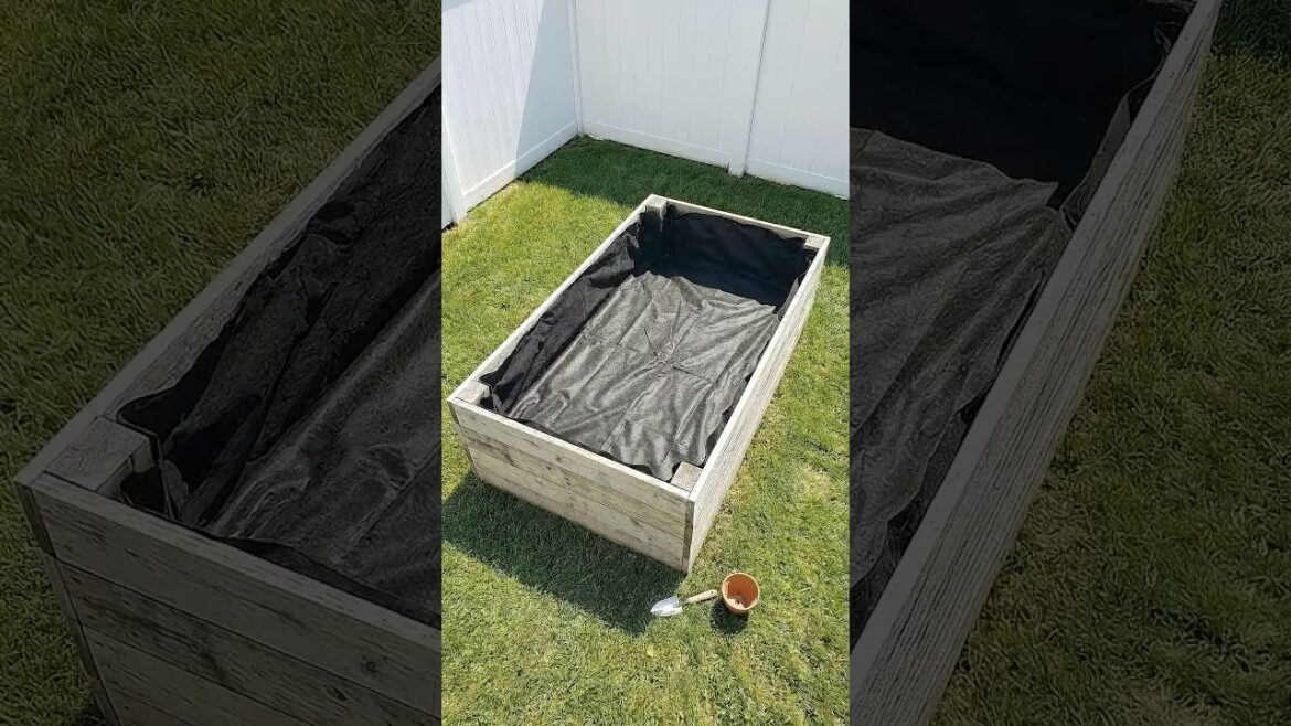 One Free Pallet Grew a MASSIVE Vegetable Garden 🌿