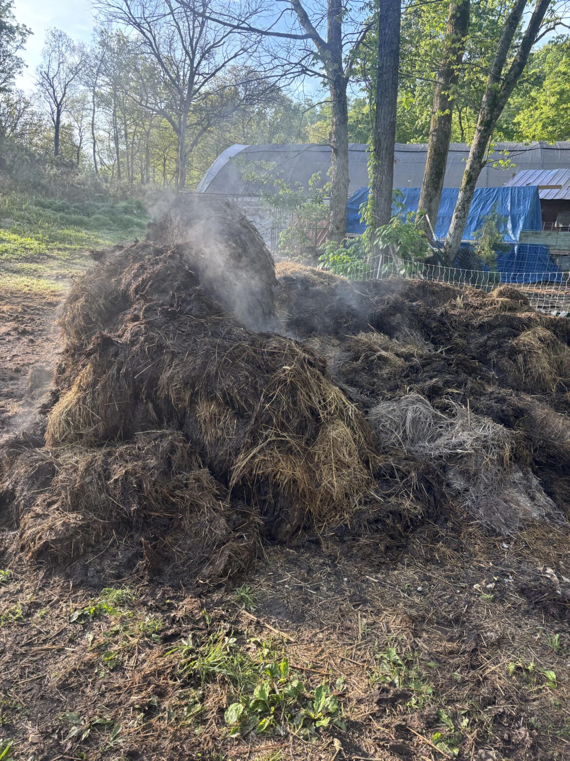 The Pile