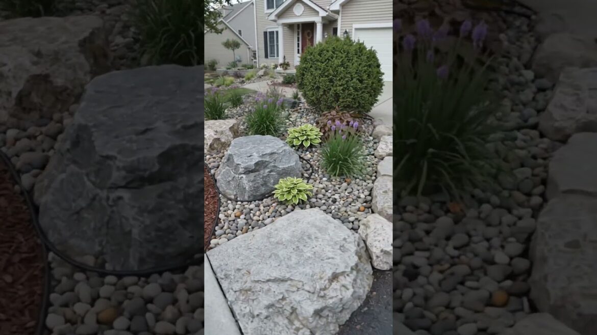 Front Yard Landscaping with Rocks 🌿 | Beautiful Garden Ideas #grafting