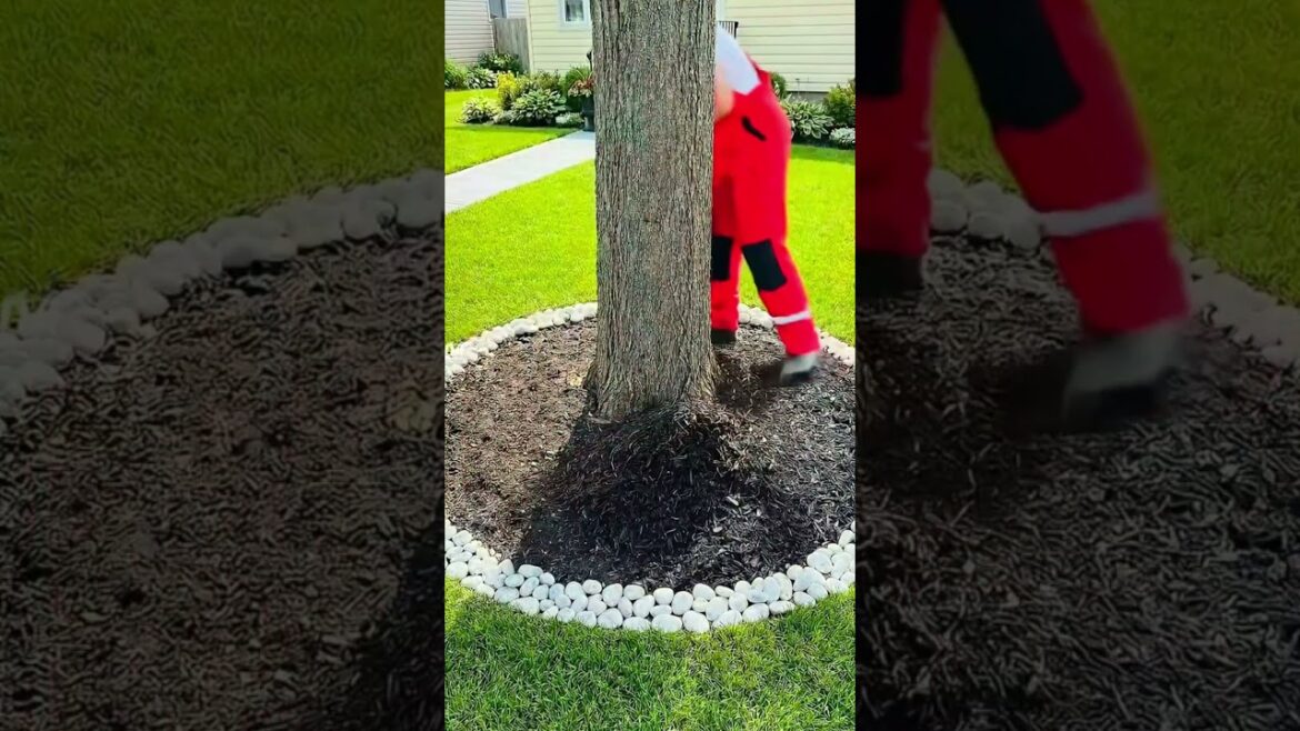 Small Garden Makeover Ideas That Actually Work Small Garden Makeover Ideas That Actually Work