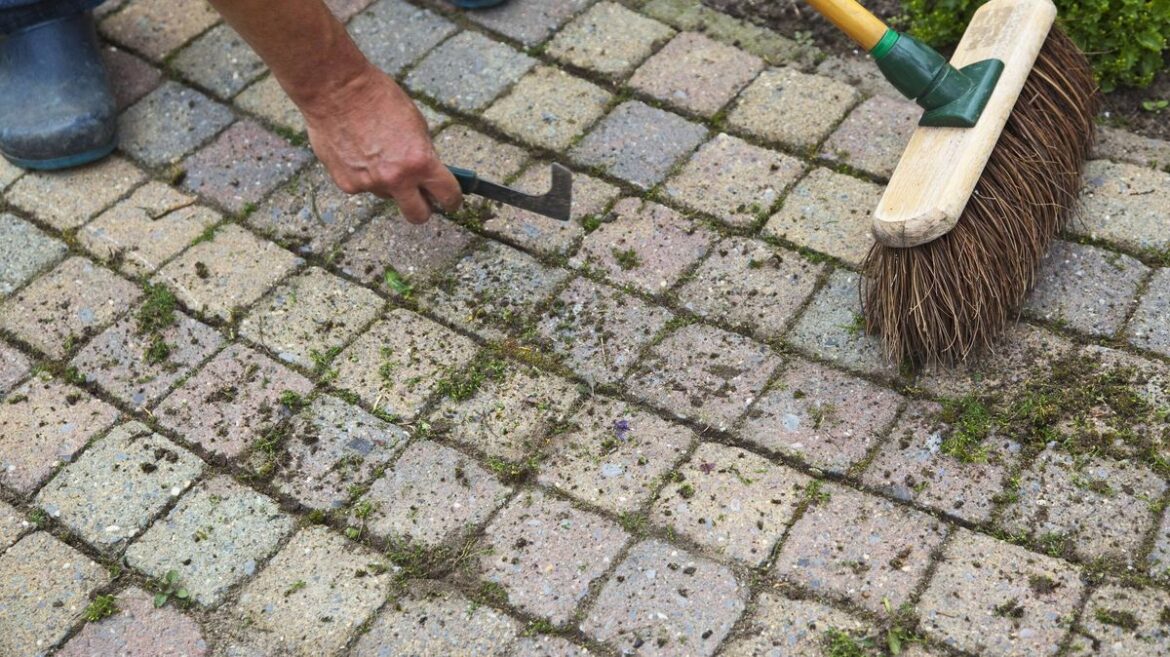 Kill weeds in your garden with chemical-free method that takes just 3 mins Devon Live