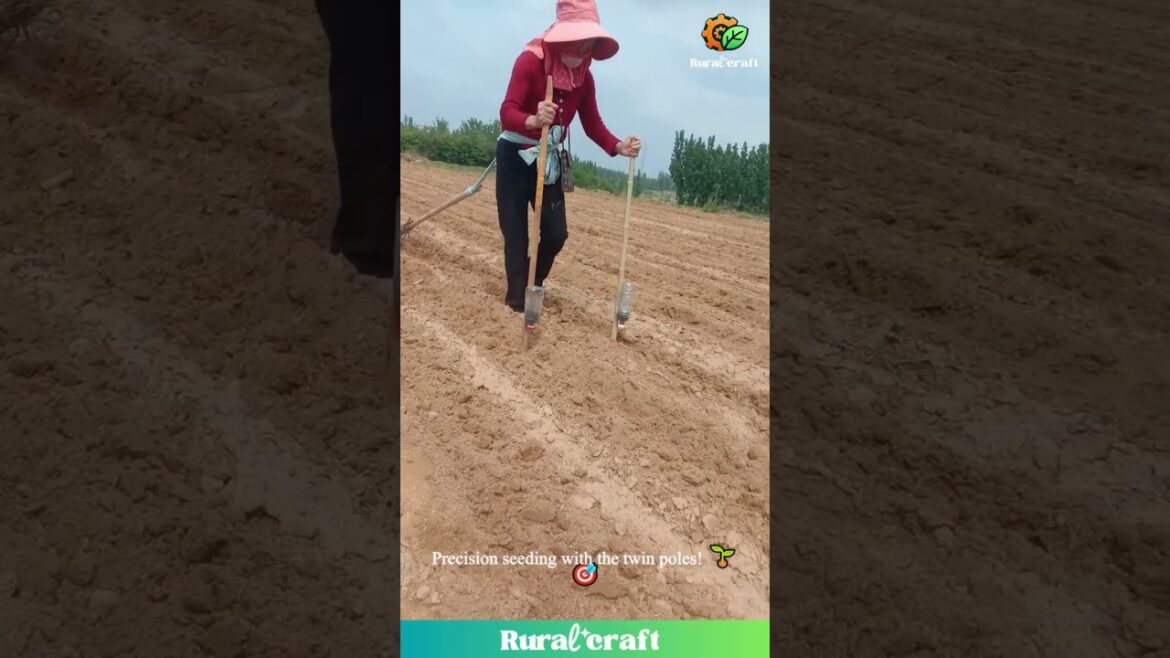 Manual Labor vs. SMART Tools!💪Watch How She Plants and Mulches with These Amazing Gadgets! #farming Manual Labor vs. SMART Tools!💪Watch How She Plants and Mulches with These Amazing Gadgets! #farming
