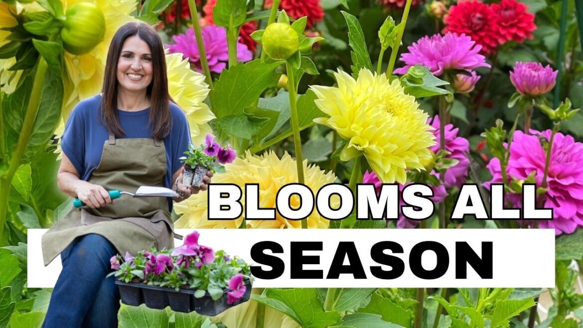 How to Design a Cut Flower Garden That Blooms All Season How to Design a Cut Flower Garden That Blooms All Season