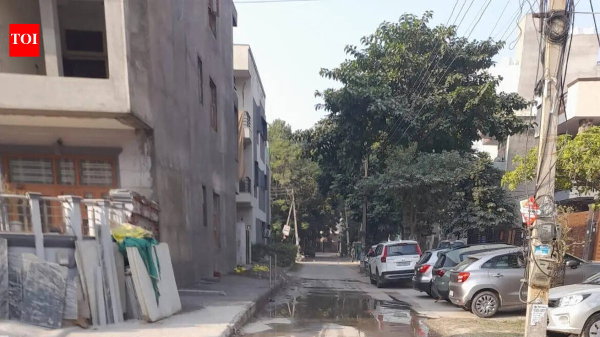 Using potable water for cleaning, gardening to attract fines | Gurgaon News