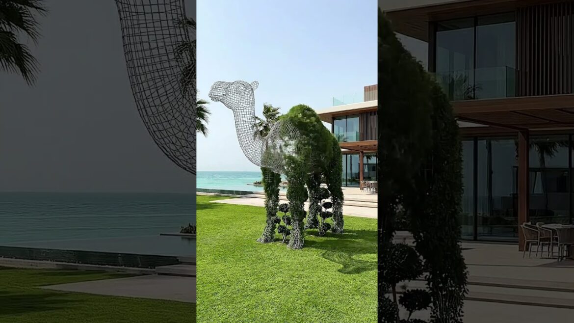 Turning a Bush into a Camel Topiary ๐ช๐ฟ | Insane Garden Transformation! Turning a Bush into a Camel Topiary ๐ช๐ฟ | Insane Garden Transformation!