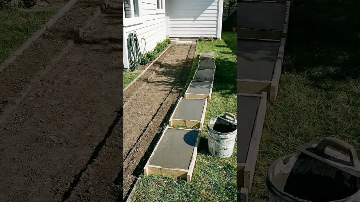 $10 of Cement Made 12 Pavers Edged in Creeping Thyme 🌿 $10 of Cement Made 12 Pavers Edged in Creeping Thyme 🌿