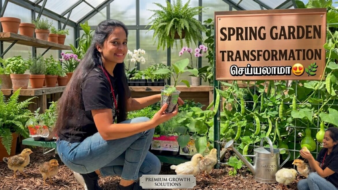 ⛲️USA-ல Garden Start பண்ணணுமா?🌱 | Tractor Supply + Easy Tips தமிழில் ⛲️USA-ல Garden Start பண்ணணுமா?🌱 | Tractor Supply + Easy Tips தமிழில்