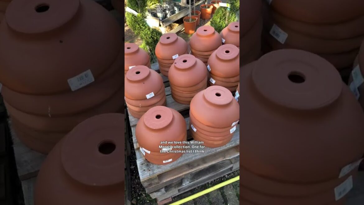 Join me for a trip to the garden centre 🌺