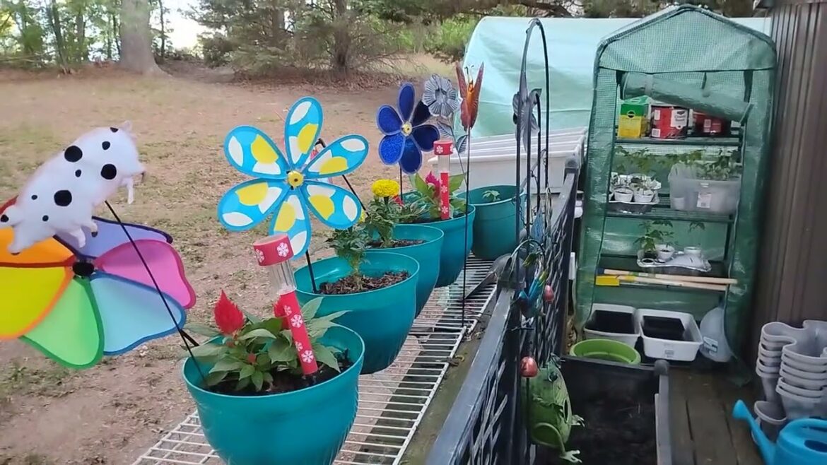 Colorful Container Garden.