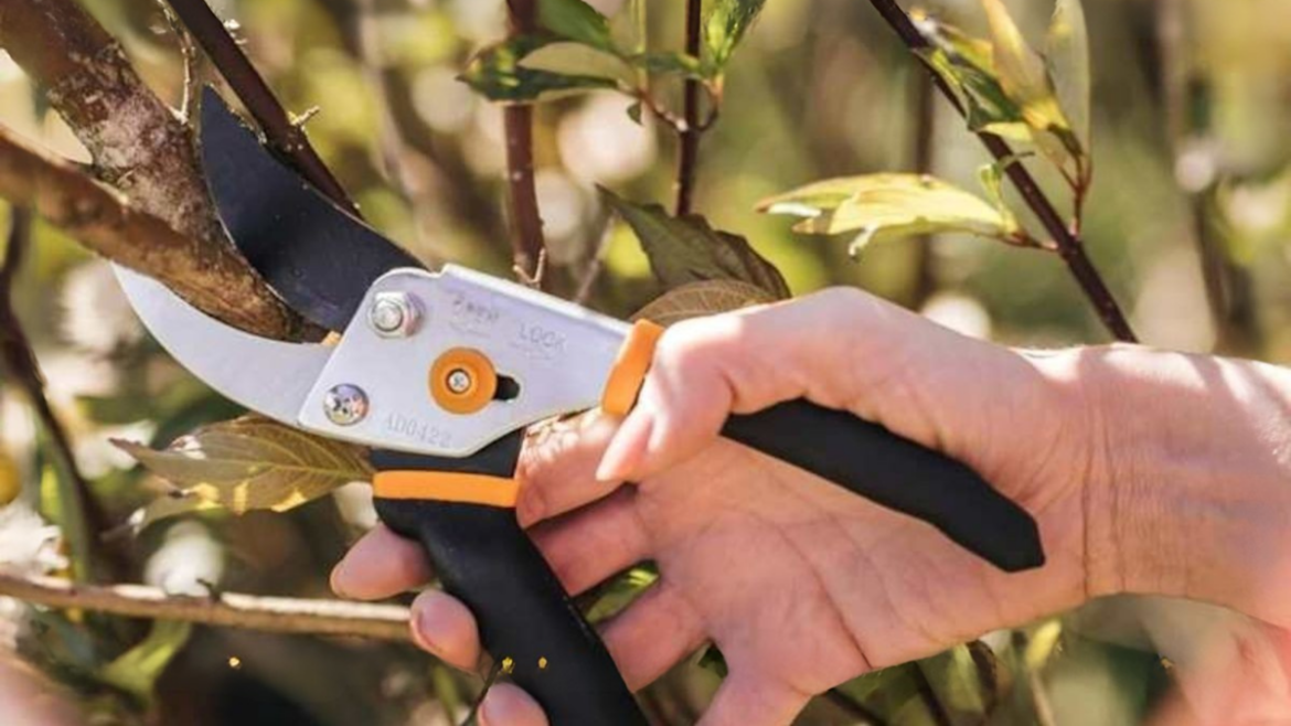 'Like a hot knife through butter': Fiskars pruning shears are down to $10 — that's 50% off