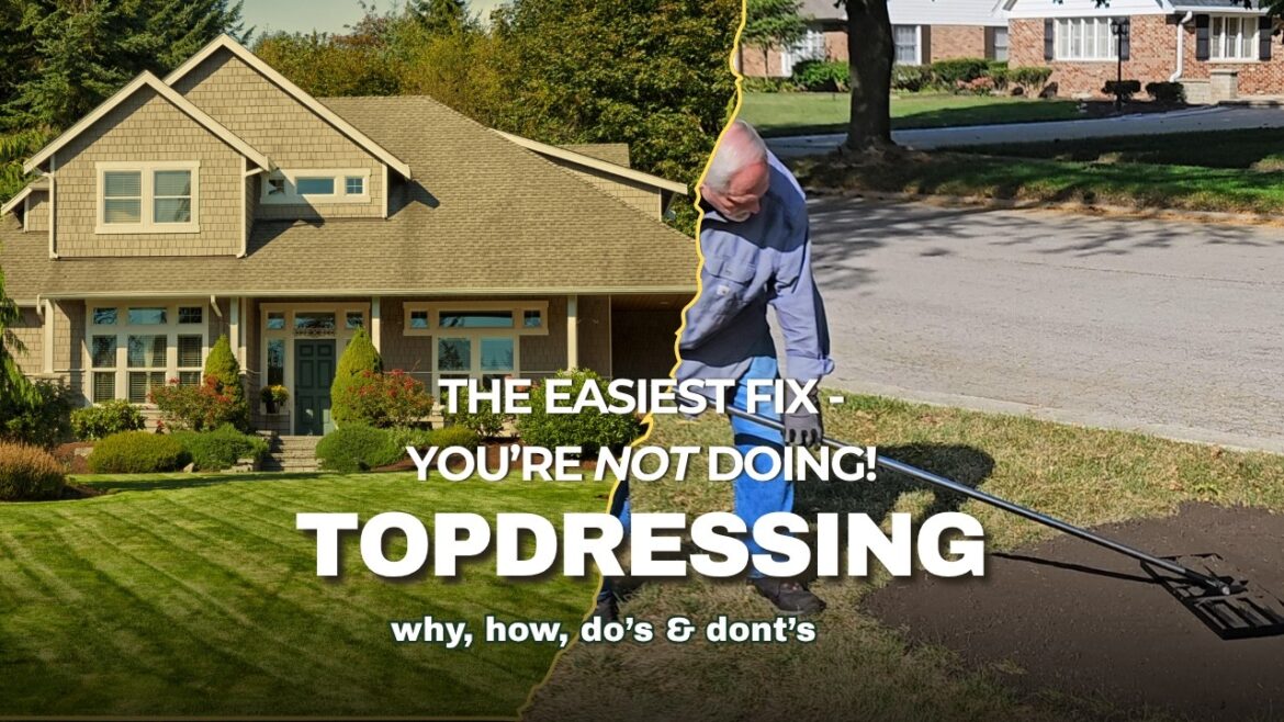 Topdressing Your Lawn: The Missing Piece of Lawn Renovation Topdressing Your Lawn: The Missing Piece of Lawn Renovation