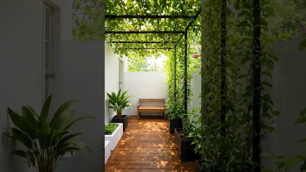Creating a Serene Green Corridor: The Beauty of Vertical Garden Design