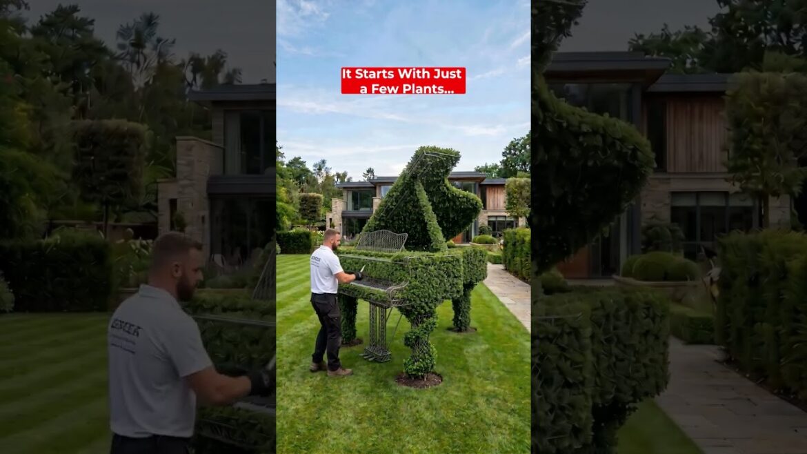 Bushes Turned Into Living Sculptures… A Piano-Inspired Garden Transformation Is Mind-Blowing! 😲🌿🎹