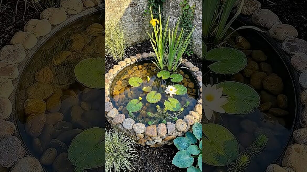 An Old Tire Became a Stone-Lined Pond With Pink Water Lilies 🌿 An Old Tire Became a Stone-Lined Pond With Pink Water Lilies 🌿
