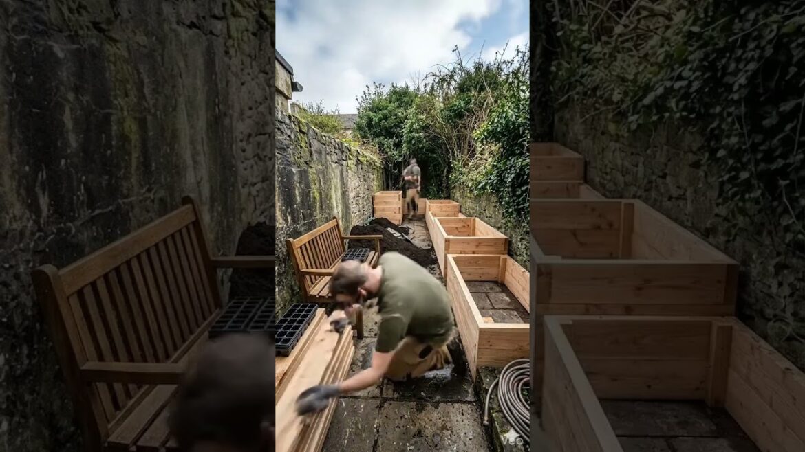 Garden Goals: Before & After Small Space Transformation! #gardening #urbanfarming #backyardgarden Garden Goals: Before & After Small Space Transformation! #gardening #urbanfarming #backyardgarden