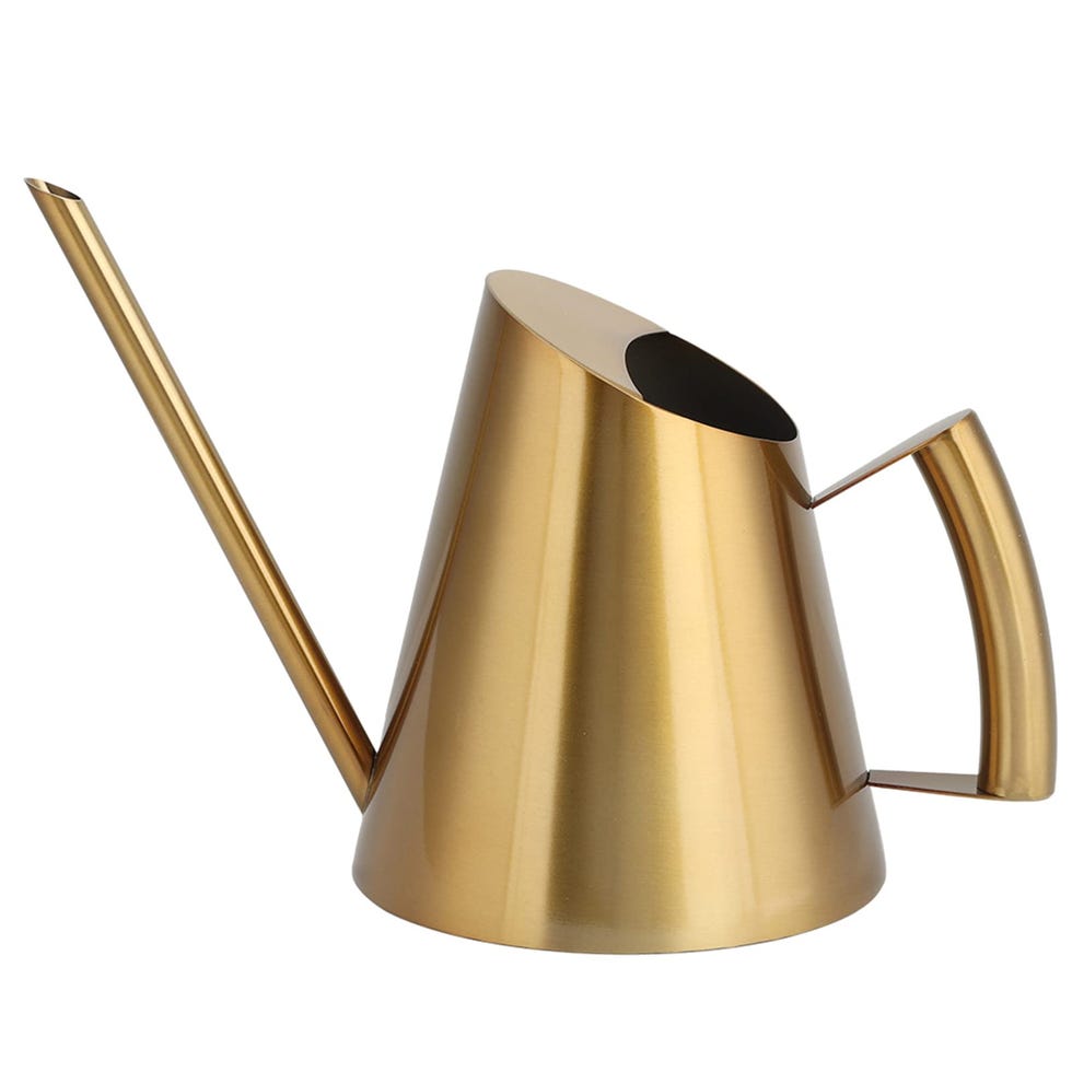 Gsycle Watering Can