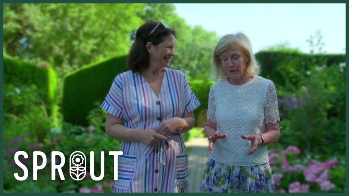 Garden Inspiration – Pruning Tips, Allotment Ideas and Urban Green Spaces Garden Inspiration - Pruning Tips, Allotment Ideas and Urban Green Spaces