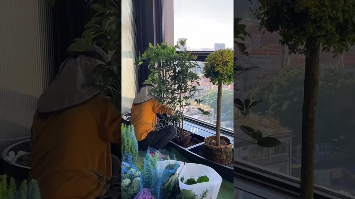 Floor to ceiling window valance #SpaceDesign #gardendesign #garden #plants