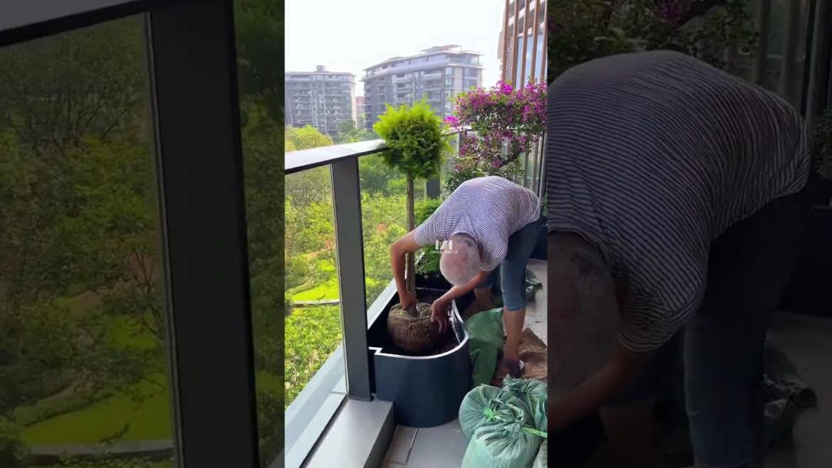 Create a garden in a corner of your balcony #SpaceDesign #gardendesign #garden #plants Create a garden in a corner of your balcony #SpaceDesign #gardendesign #garden #plants