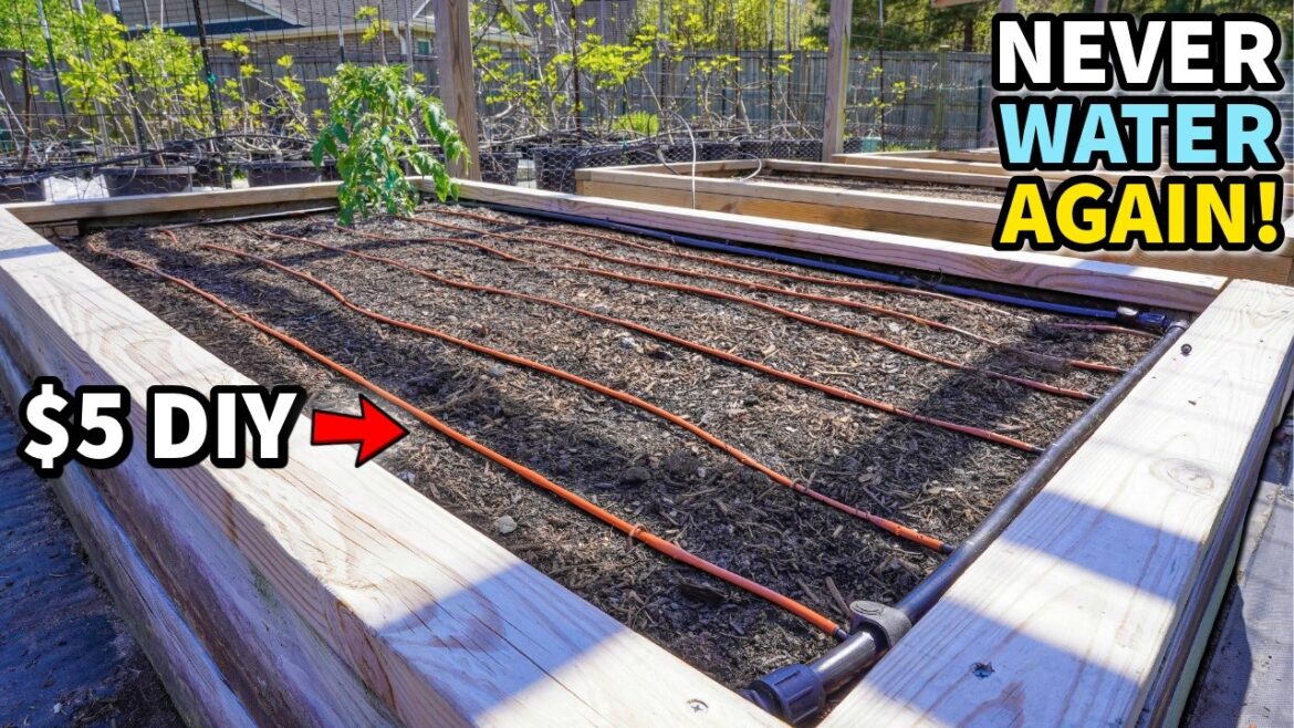 The $5 DIY Irrigation Grid Your Raised Garden Beds Need! The $5 DIY Irrigation Grid Your Raised Garden Beds Need!