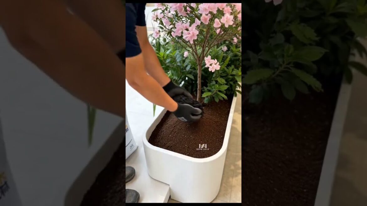 Bring nature indoors #SpaceDesign #gardendesign #garden #plants #diy