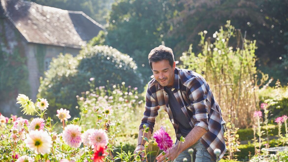 Gardeners warned to inspect plants as common spring pests make a return with warm weather Daily Record
