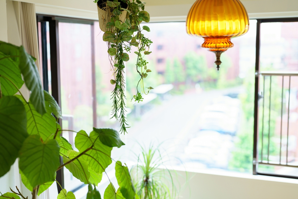 Apartment Gardening: The $20 Setup for a Balcony Bounty Apartment Gardening: The $20 Setup for a Balcony Bounty