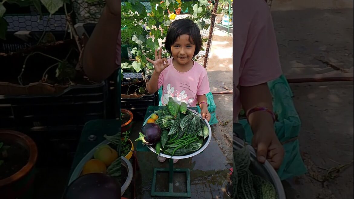 cute baccha#shorts #gardening #vegetable harvesting#youtubeshorts