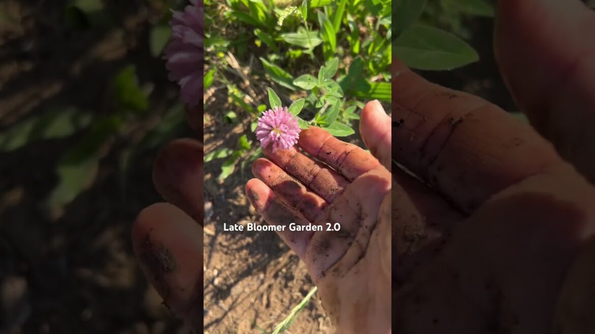 Leaving this for pollinators! #garden #weeds