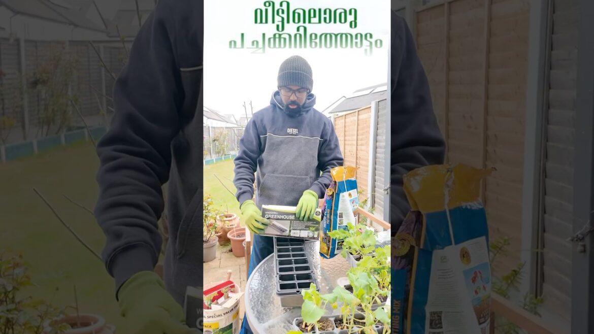 Gardening tips #europe #ireland #malayalam