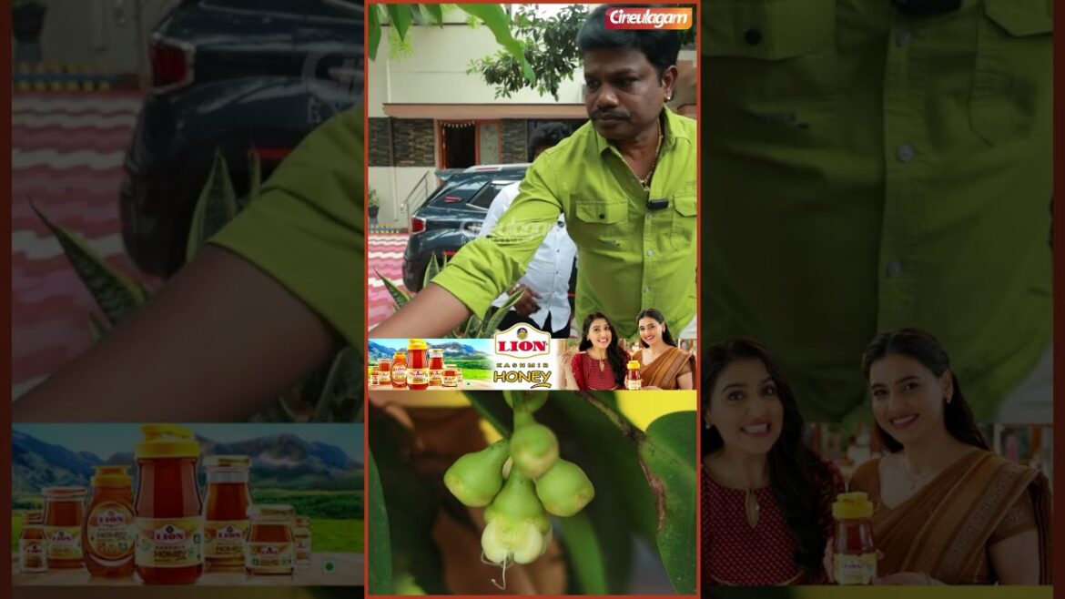 😅 #waterapple சாப்பிட்டதே இல்லையா? அப்போ நீங்க 1 மாசம் கழிச்சு வந்திருக்கணும் – #maduraimuthu #farm 😅 #waterapple சாப்பிட்டதே இல்லையா? அப்போ நீங்க 1 மாசம் கழிச்சு வந்திருக்கணும் - #maduraimuthu #farm