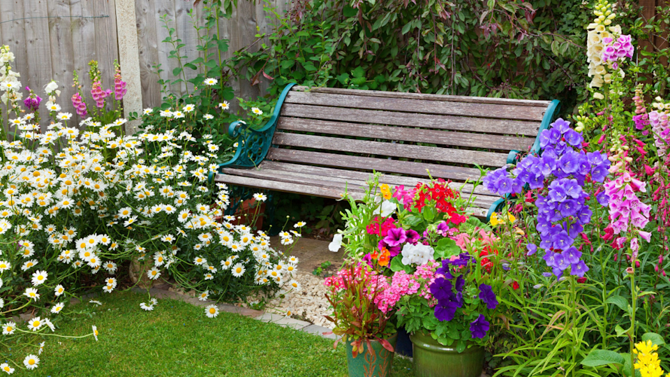 garden cottage with bench foxglove pansy daisy
