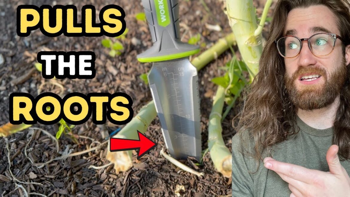 Multi-purpose Japanese Style "Hori Hori" Knife Slices Through Weeds