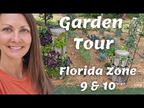 Garden Tour | Zone 9 & 10 Florida Garden | Container Gardening & Raised Bed Gardening Garden Tour | Zone 9 & 10 Florida Garden | Container Gardening & Raised Bed Gardening