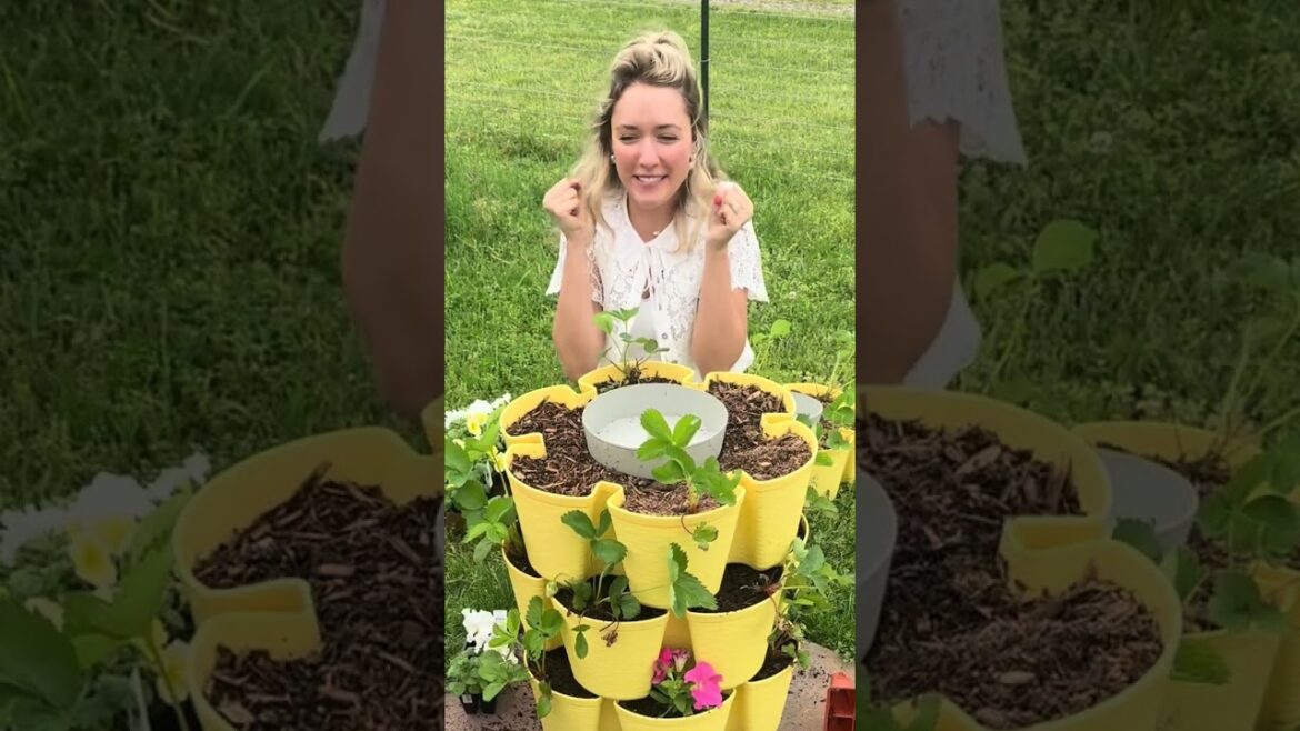 Sometimes you gotta work in the garden no matter what the weather says😂🌪️ Emily Ann Roberts