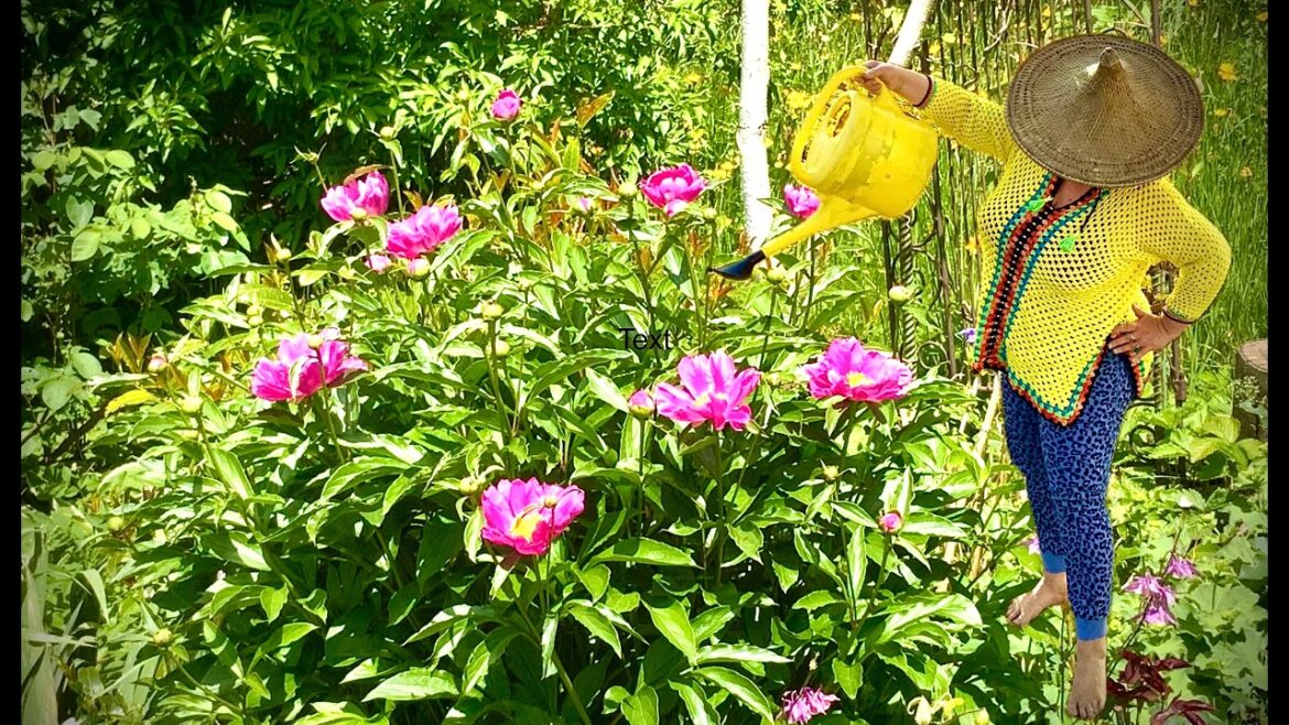 GARTENTIPPS von PETRA PERLE #garten#petraperle#blumen#pflanzen