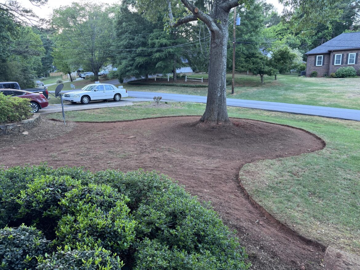Torn between pine straw or pine bark mulch for this area, what do y’all think?