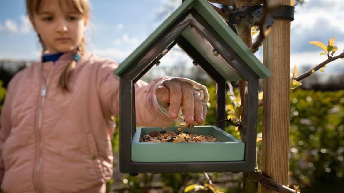 All gardeners urged to put egg shells on bird tables in Spring Yorkshire Live