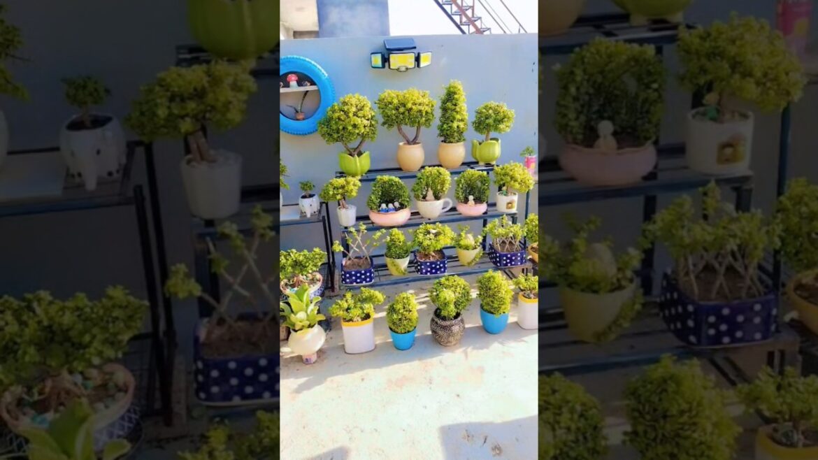 #gardening