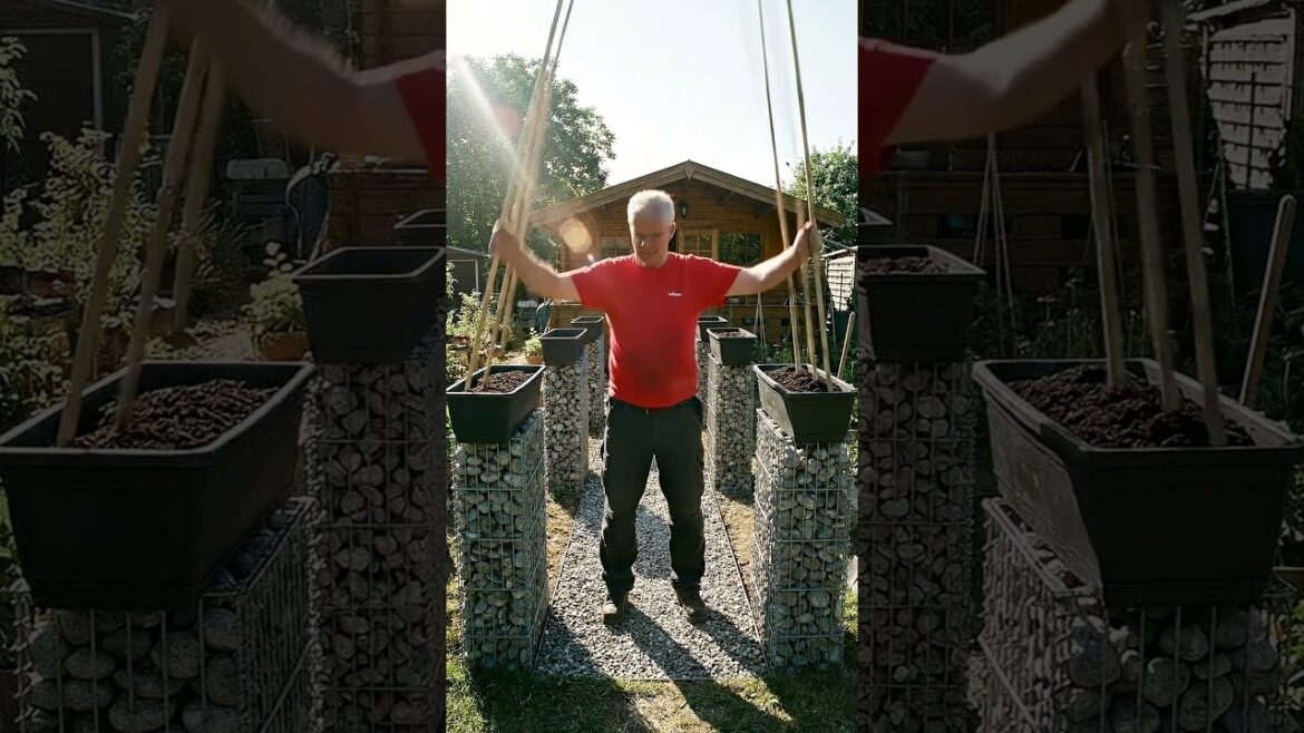 DIY Gabion Garden Arch: Grow Massive Bean Harvests in Small Spaces! 🌱