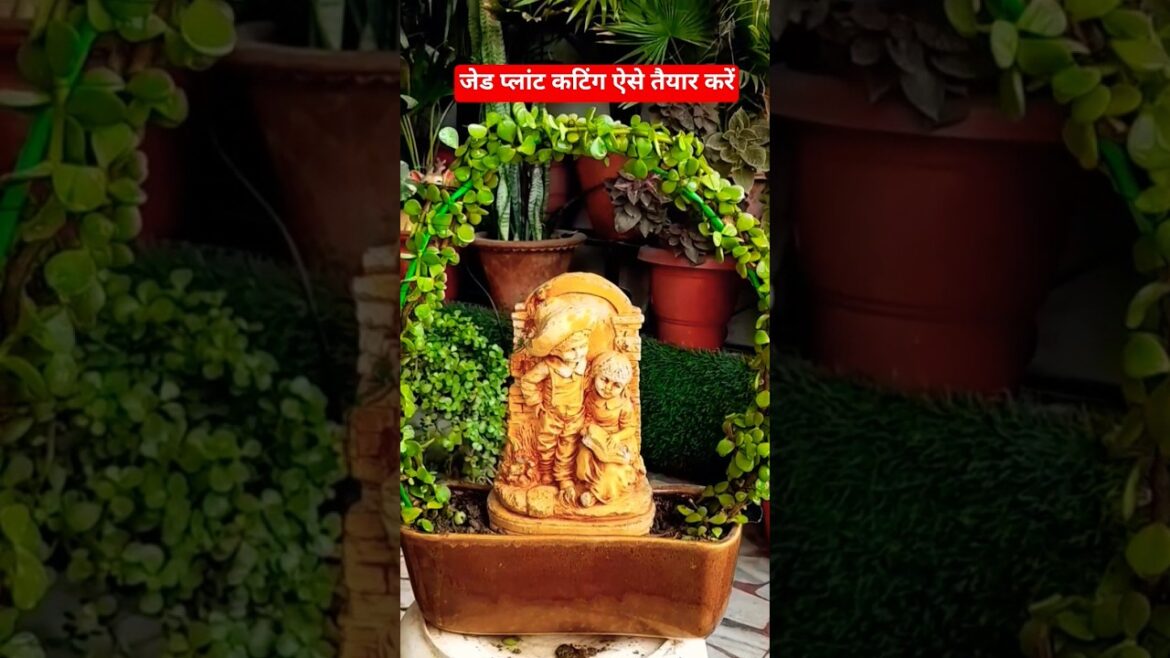 gardening tips #viralvideo #ytshorts #trending #shorts