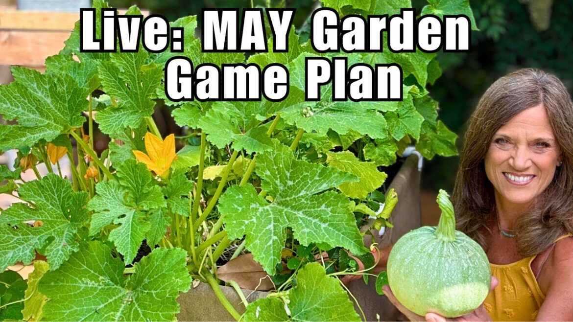CaliKim: Live: May Garden Game Plan Live: May Garden Game Plan