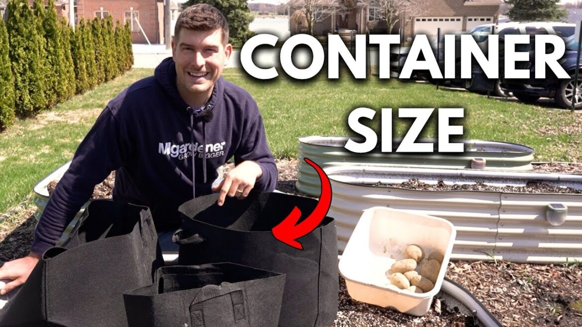 The CRITICAL Mistake to AVOID When Growing in Containers