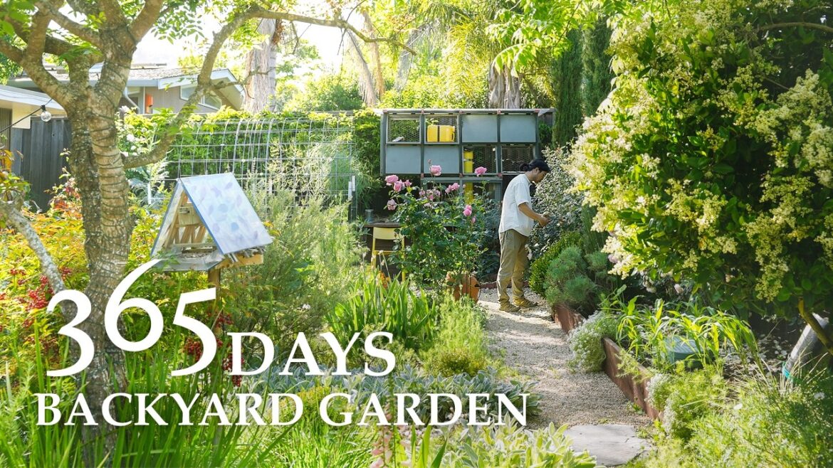 Backyard Garden Transformation (Year 4)|A Full Year of Building & Harvesting Backyard Garden Transformation (Year 4)|A Full Year of Building & Harvesting