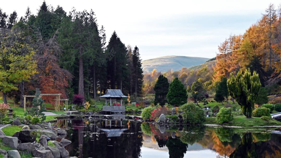 ‘Magical’ Japanese garden walk just 1 hour from Edinburgh is ideal for families Daily Record
