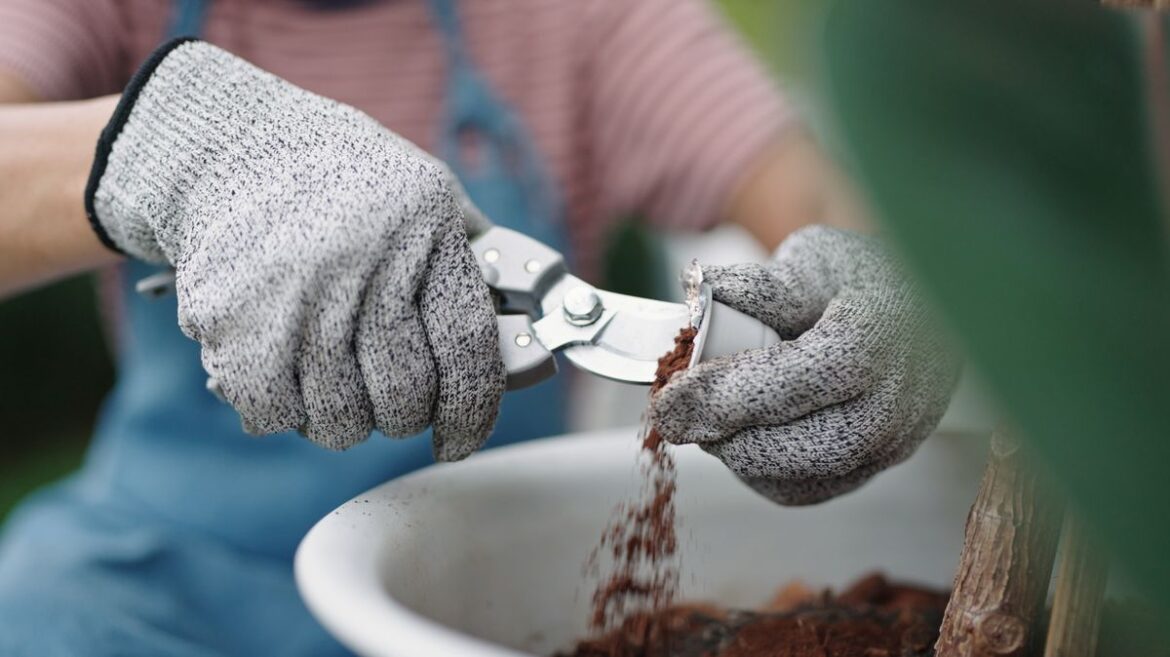 Former Royal gardener explains how leftover coffee grounds can be used in your garden RSVP Live