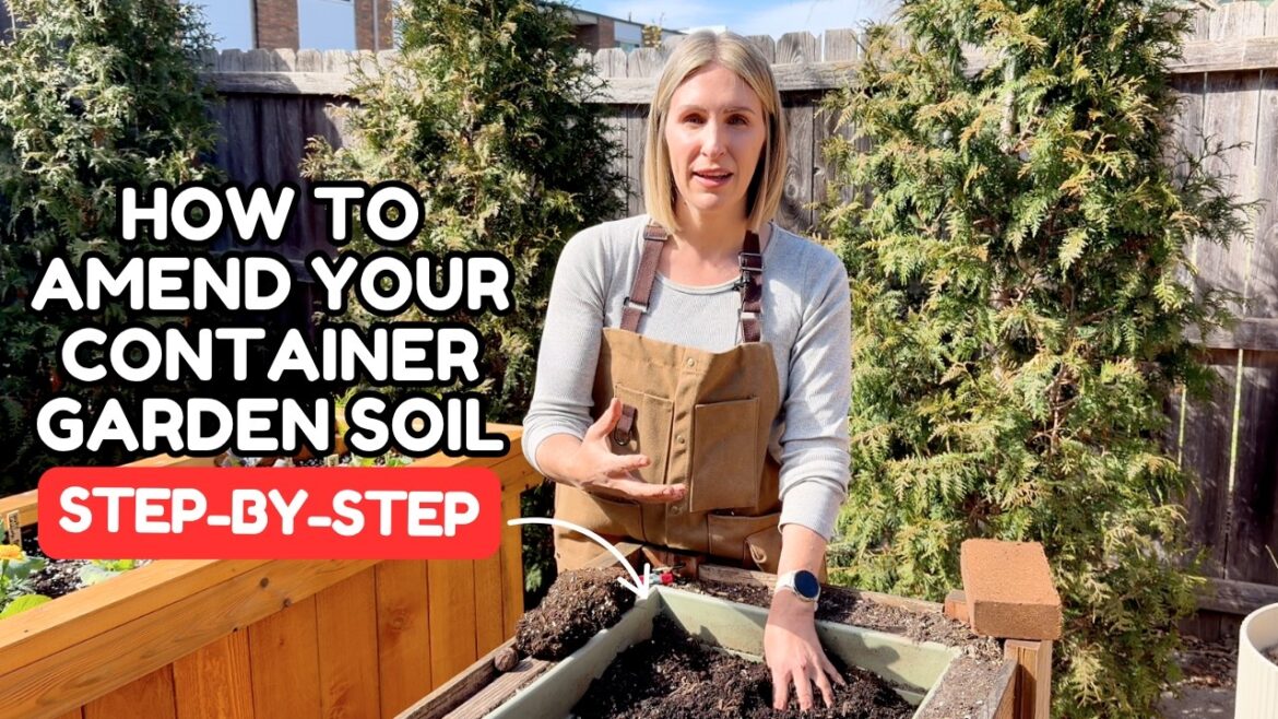 Don’t Plant Vegetables In Last Year’s Container Garden Until You Do THIS!! Don't Plant Vegetables In Last Year's Container Garden Until You Do THIS!!