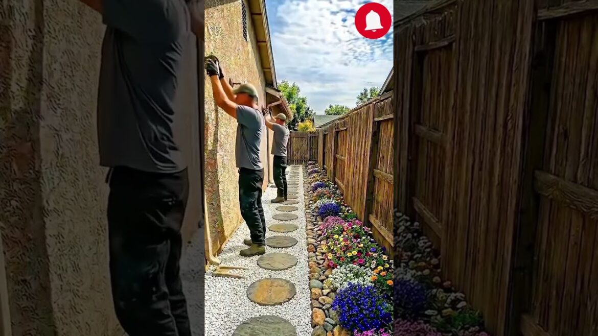 CRAZY BACKYARD RESTAURATION😳🔥 #backyard #landscape #garden #diy #shorts